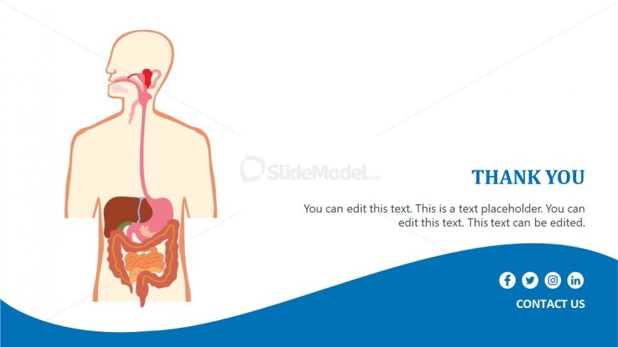 School Presentation of Digestive System