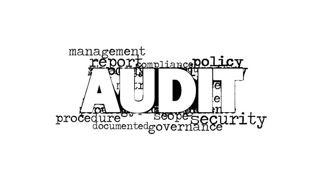 8342-01-audit-word-cloud-picture-2