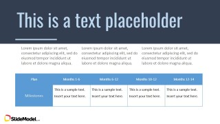 PPT Theme with Background and Table