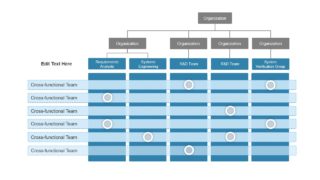 Segmented Org Chart Breakdown