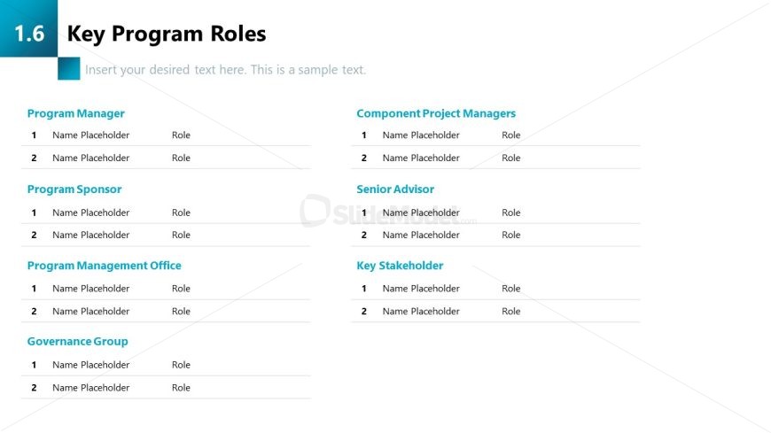 Editable Program Management Slide