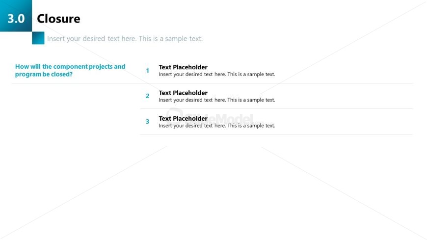 Program Management Template Slide