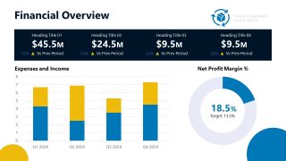 Data Visualizations - Financial Overview Template 