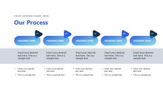 Process Diagram for Business Process Presentation 