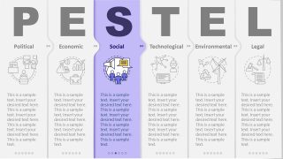 Marketing PESTEL Analysis PPT Social Factor