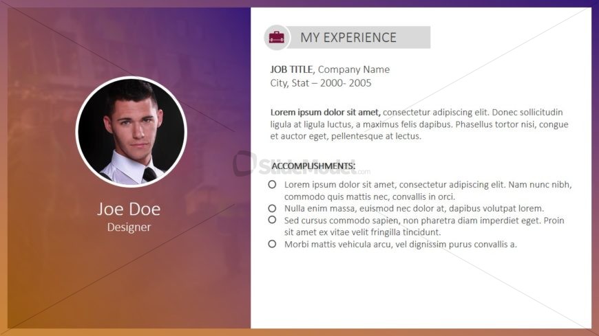 PowerPoint Slide for Professional Experience