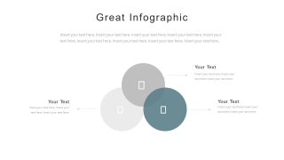 Corporate Portfolio Venn Diagram PowerPoint