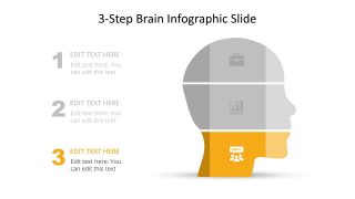 Presentation of Brain Infographics Diagram