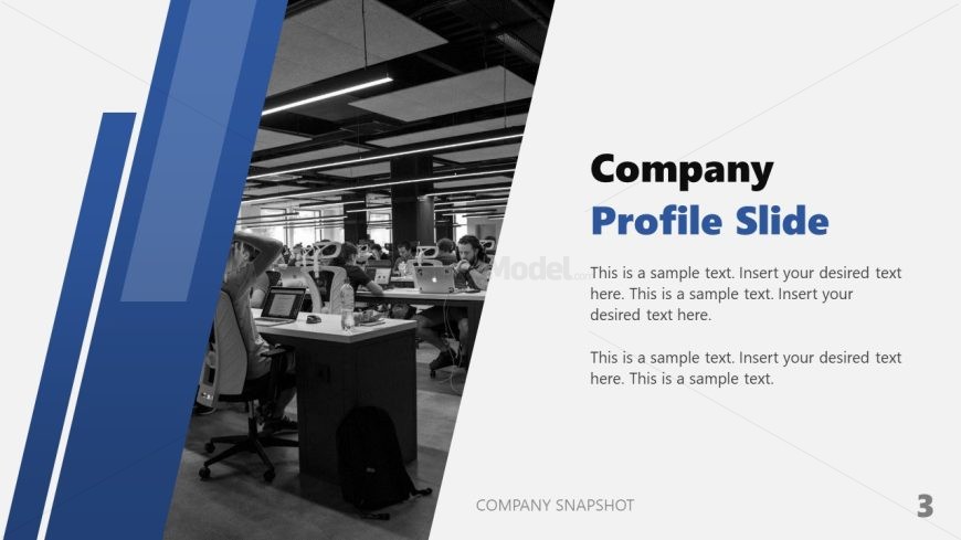 Customizable Company Snapshot PPT Template 