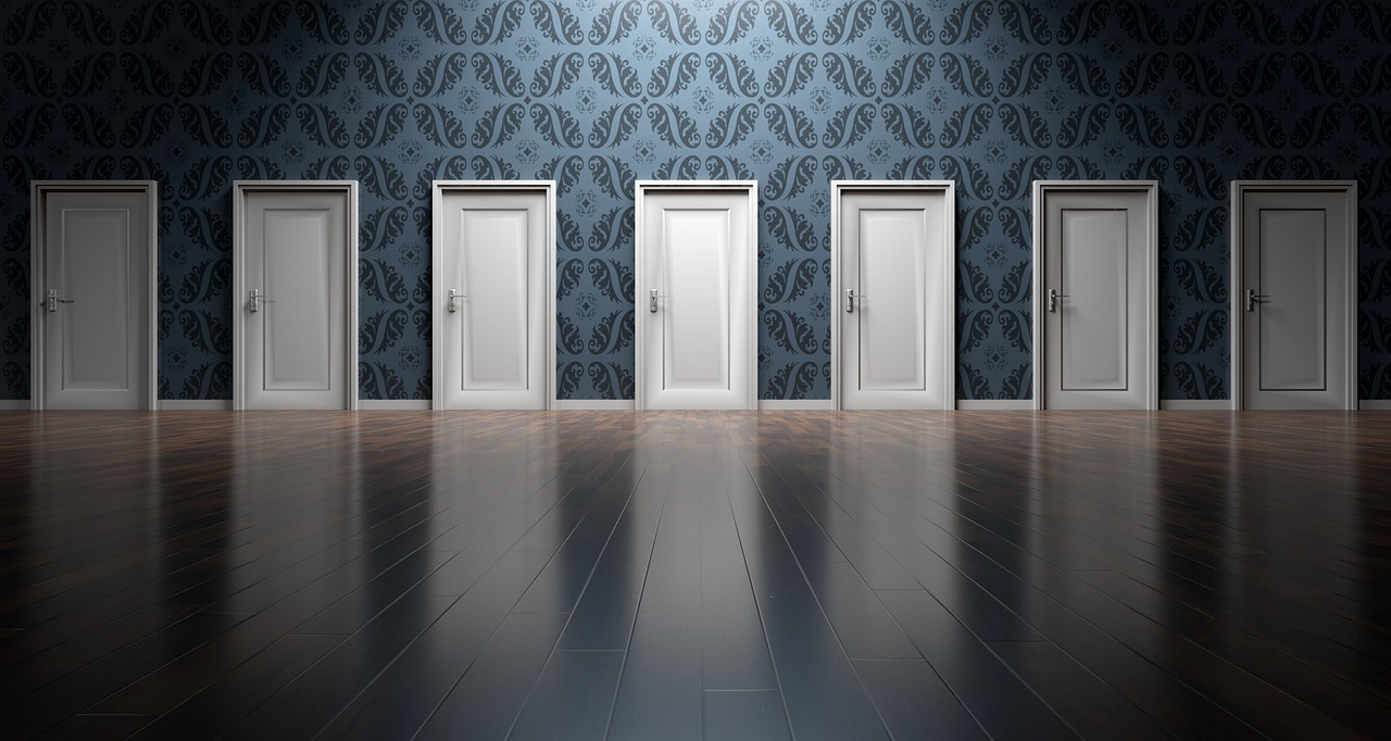 Doors in Analysis Paralysis - Multiple options