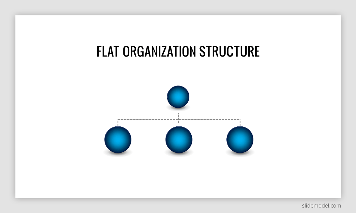 Flat Organization Structure Example