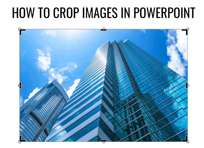 How to crop an image in PowerPoint Example