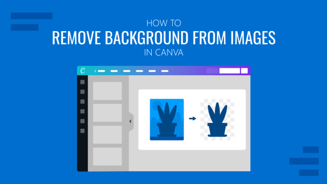 How to Remove Background from Images in Canva