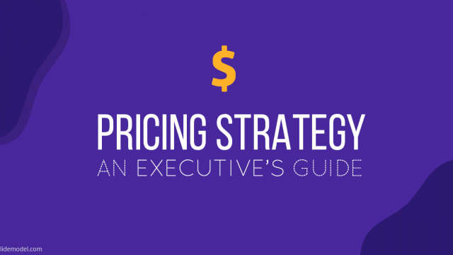 An Executive’s Guide to Pricing Strategy Models